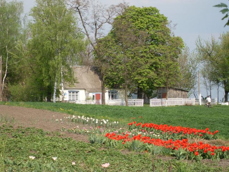 Гурівці з panoramio.com - Гурівці