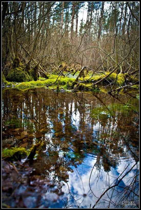 Лісопіль з panoramio.com - Лесополь