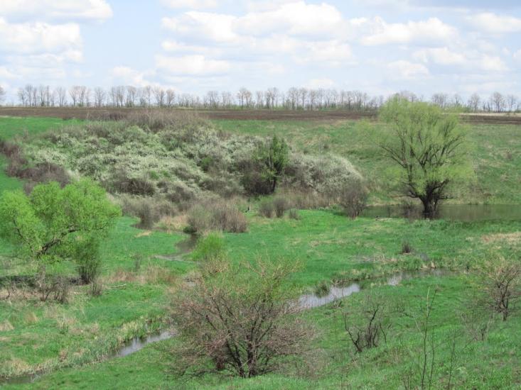 Вільхівка з panoramio.com - Vilkhivka