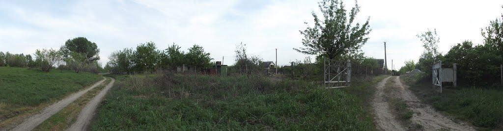 Пологи-Низ з panoramio.com - Пологи-Низ