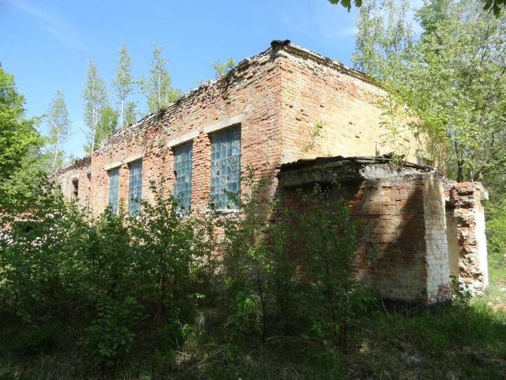 Веселе з panoramio.com - Веселое