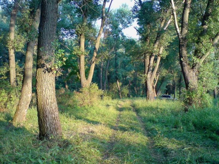 Гороховатка з panoramio.com - Гороховатка
