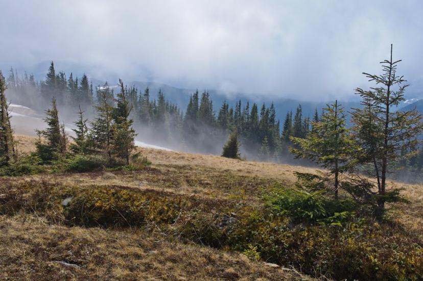 Кривопілля з panoramio.com - Кривопілля