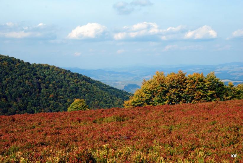 Потік з panoramio.com - Потік