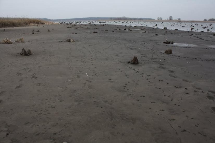 Лящівка з panoramio.com - Lyaschivka