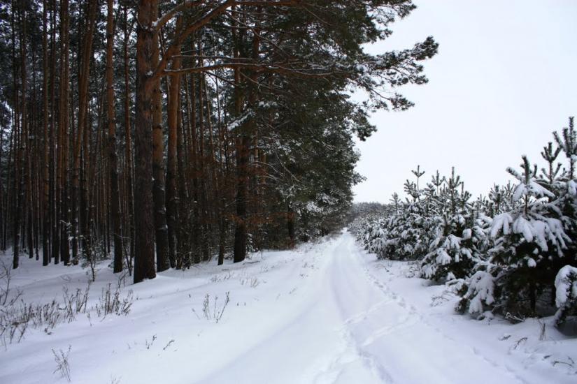 Бурімка з panoramio.com - Burimka