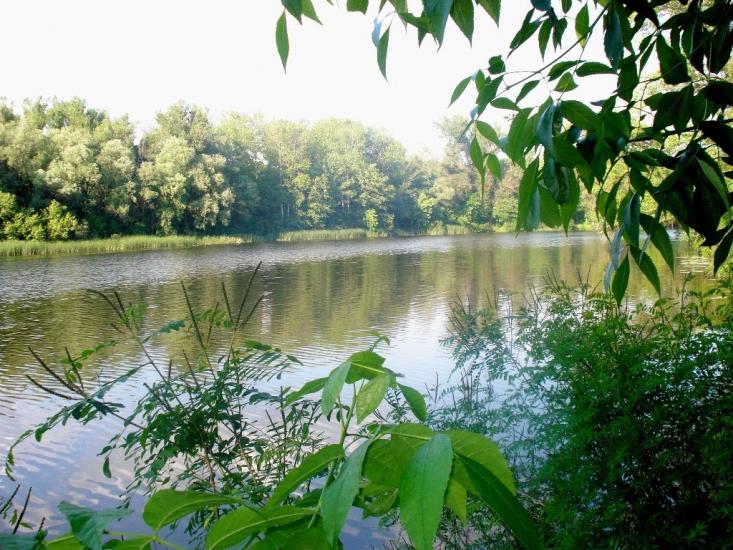 Потоки з panoramio.com - Потоки