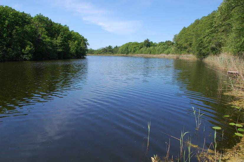 Серебрянка з panoramio.com - Serebryanka