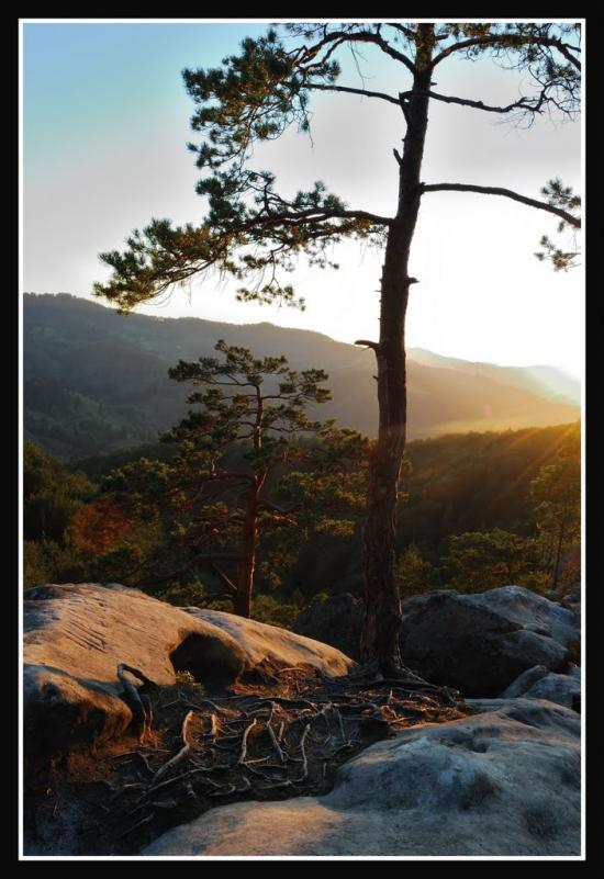 Хорови з panoramio.com - Хоровы