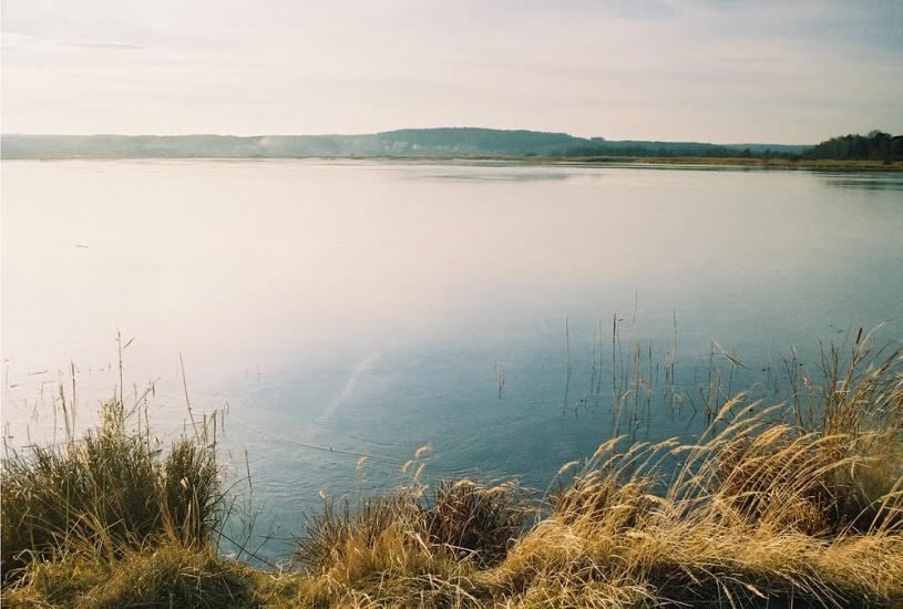 Івано-Франкове з panoramio.com - Ивано-Франково