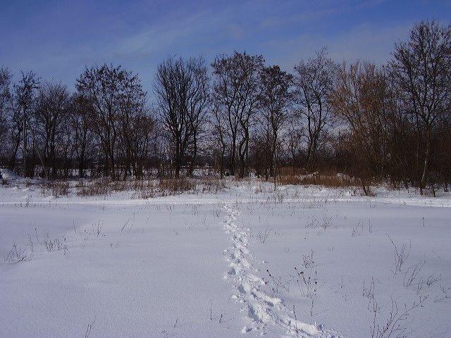 Алтинівка з panoramio.com - Altynivka