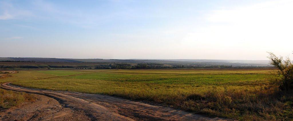 Новгородське з panoramio.com - Новгородське