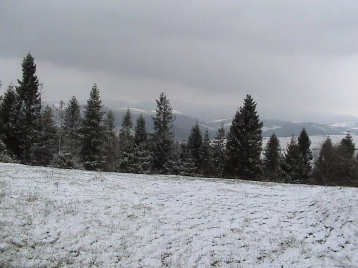 Мельничне з panoramio.com - Мельничне