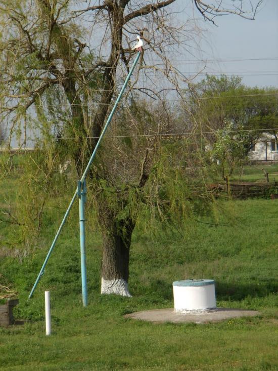 Одрадне з panoramio.com - Отрадное