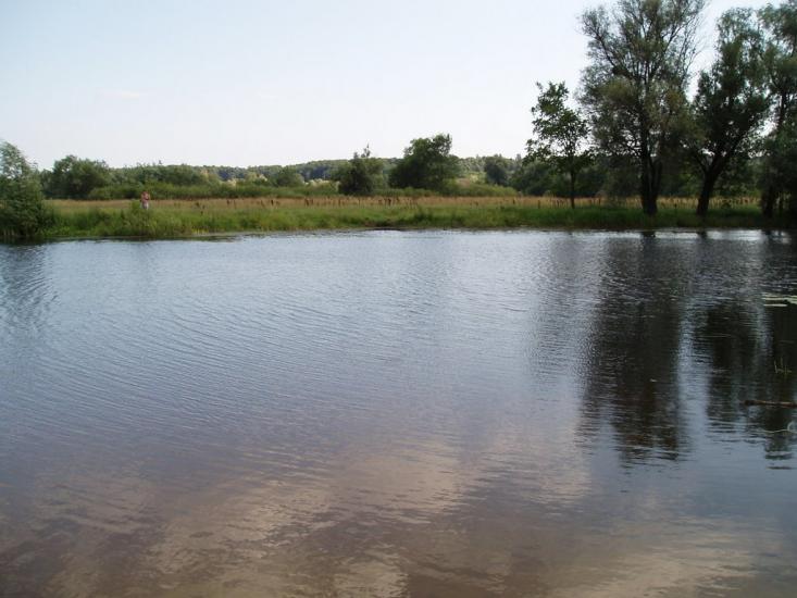 Червонозаводське з panoramio.com - Червонозаводское