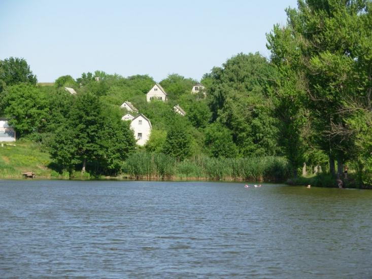 Високий з panoramio.com - Высокий