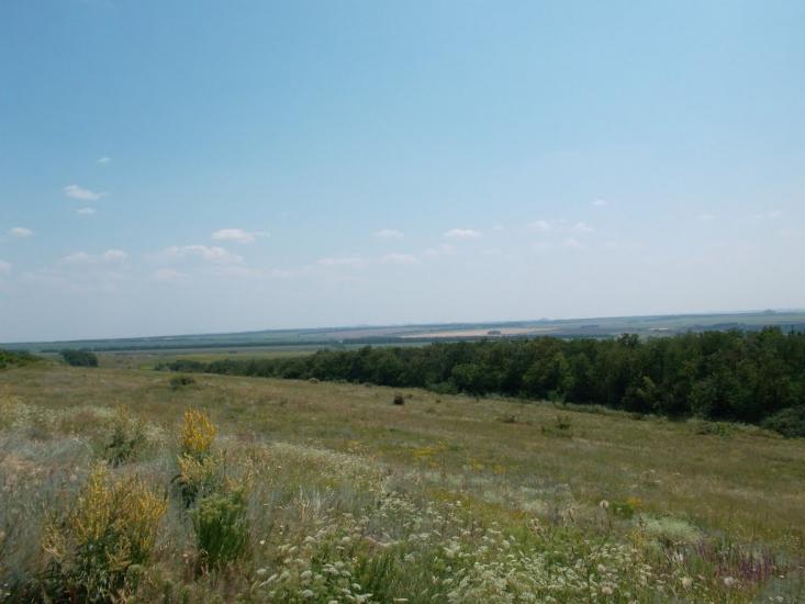 Польове з panoramio.com - Полевое