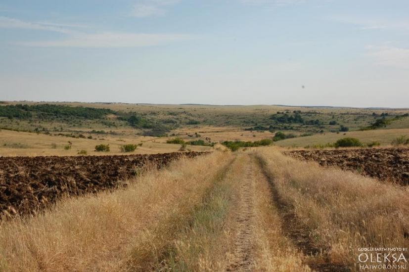 Рєпіне з panoramio.com - Репино