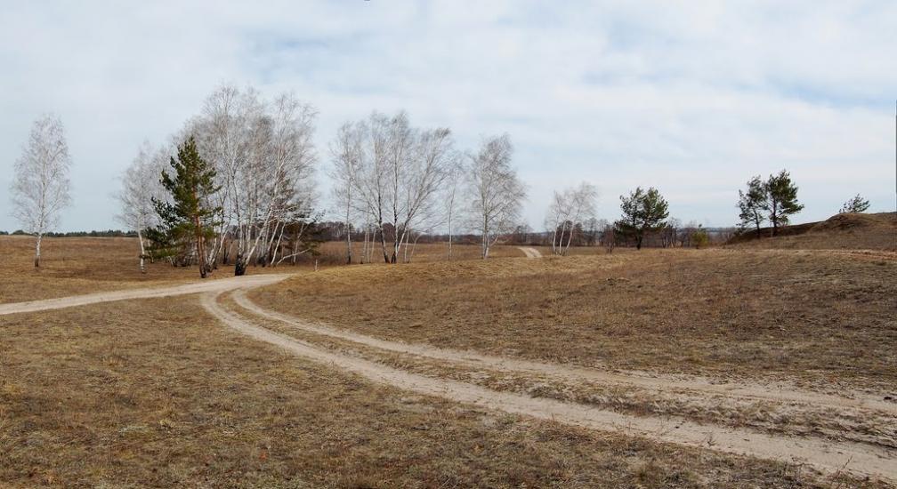 Кицівка з panoramio.com - Кицевка