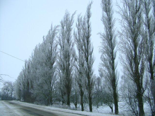 Серкізів з panoramio.com - Серкізів