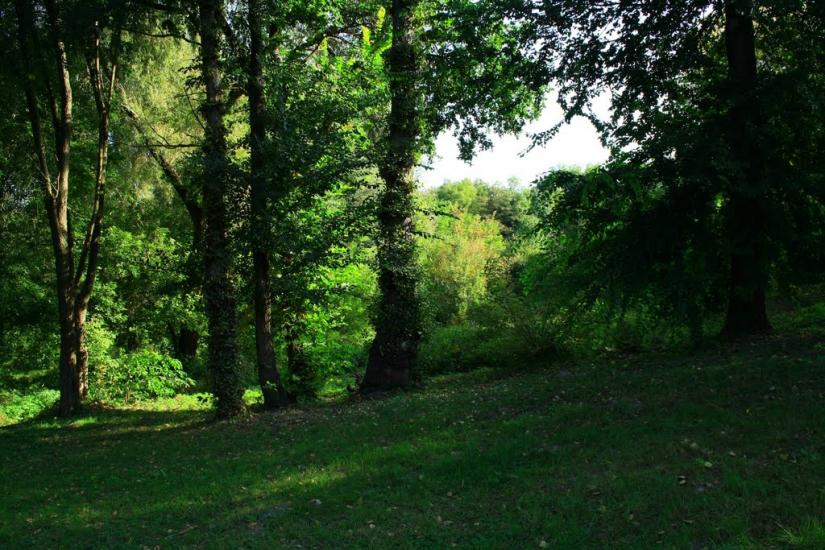 Шевченкове з panoramio.com - Шевченкове