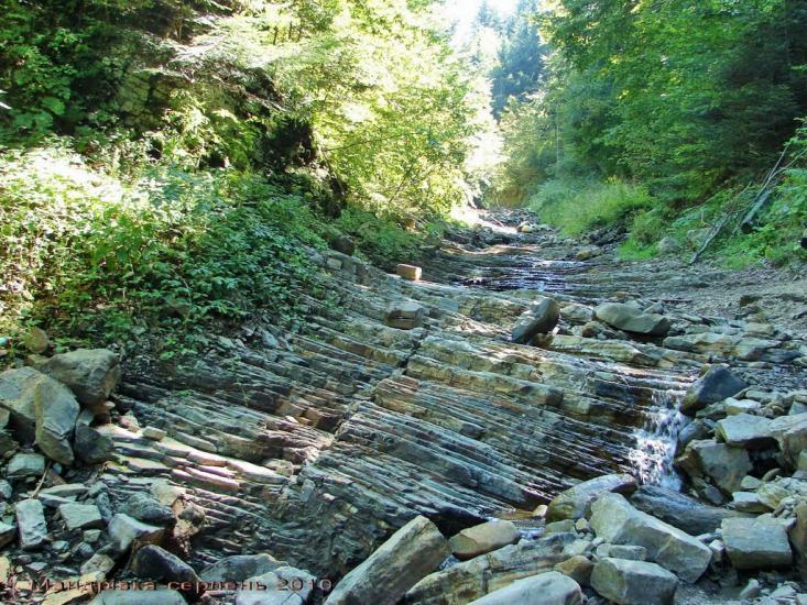 Кричка з panoramio.com - Кричка