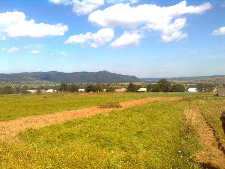 Пшеничники з panoramio.com - Пшеничники