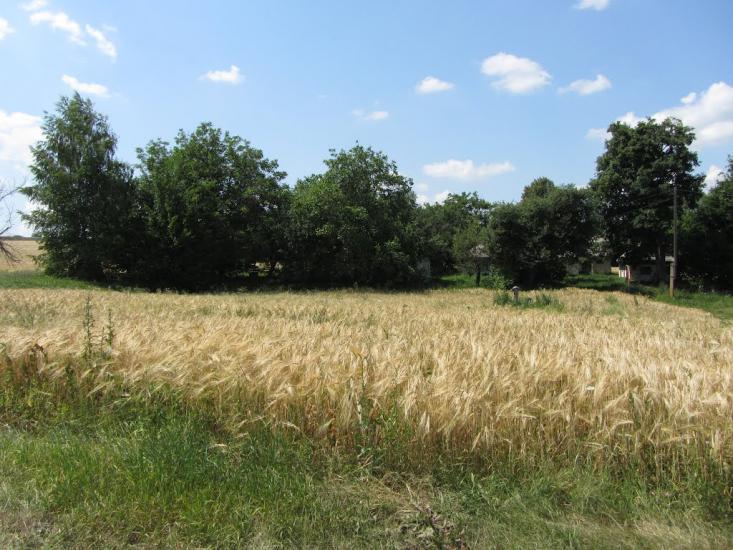 Попівка з panoramio.com - Попівка