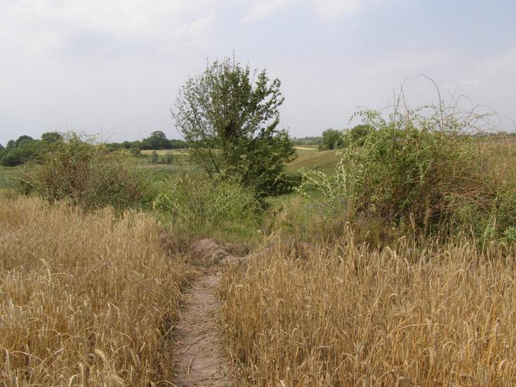 Пінчуки з panoramio.com - Пинчуки