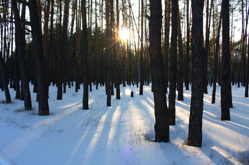 Таранське з panoramio.com - Таранское