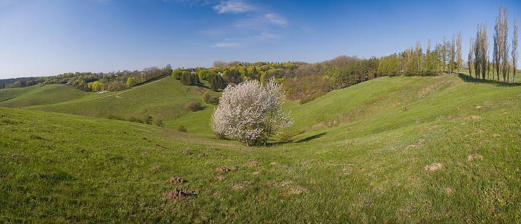 Краснокутськ з panoramio.com - Краснокутск