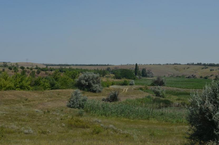 Родникове з panoramio.com - Родниково