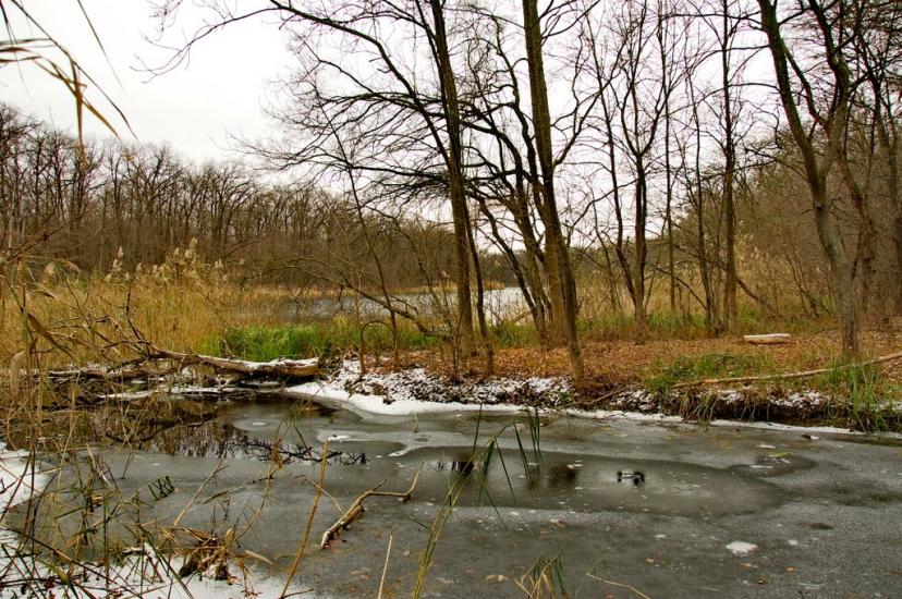 Серебрянка з panoramio.com - Serebryanka