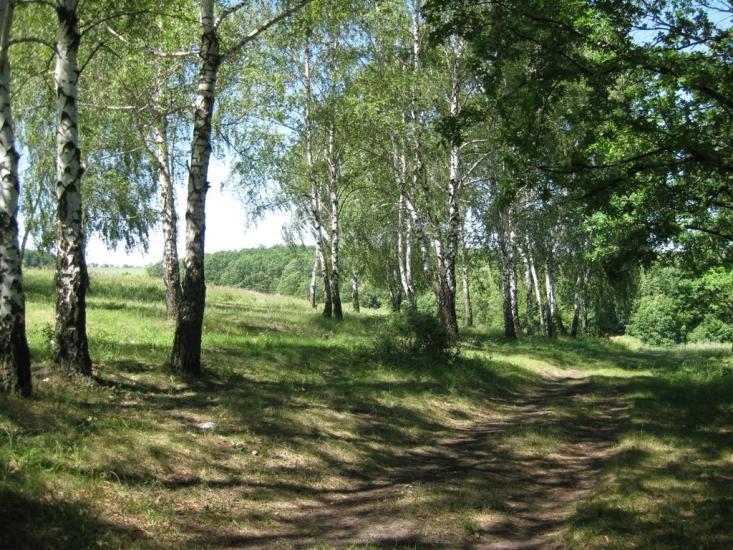 Жовтневе з panoramio.com - Zhovtneve