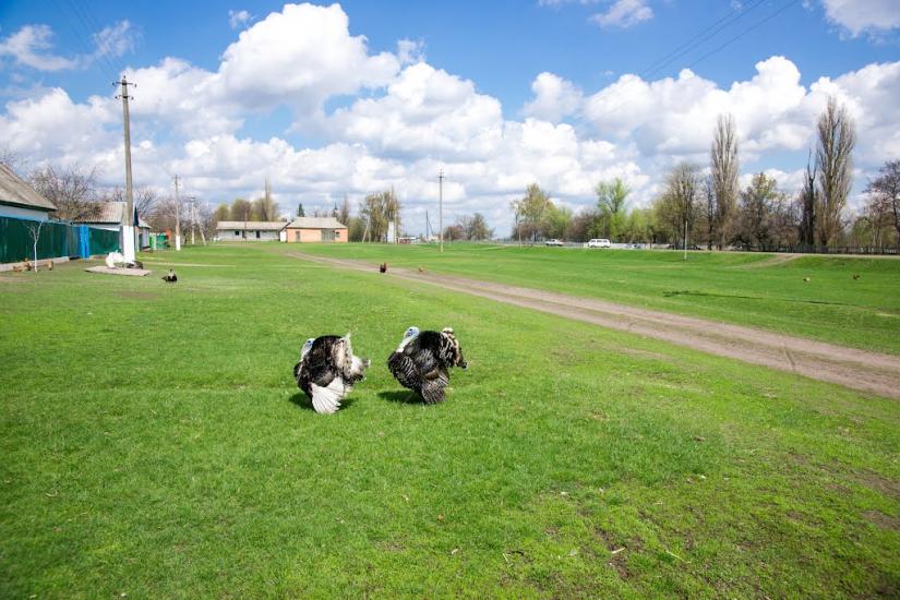 Харківці з panoramio.com - Харківці