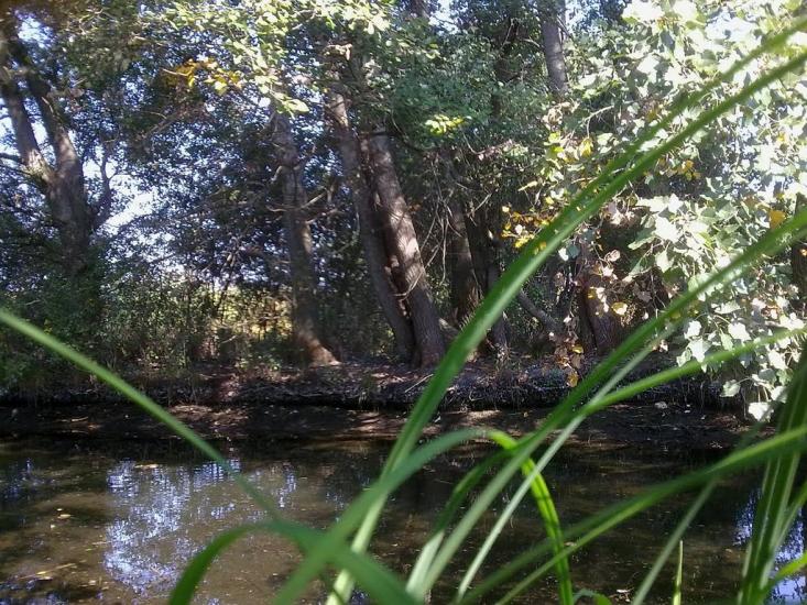Кринки з panoramio.com - Крынки