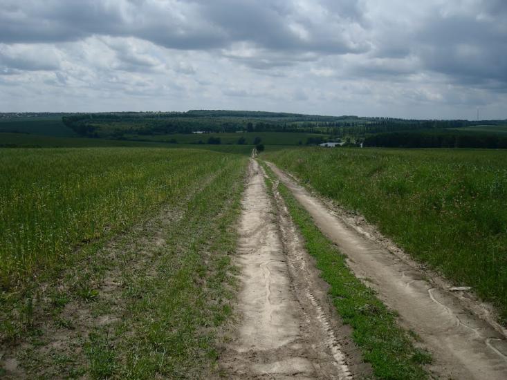 Стуфчинці з panoramio.com - Стуфчинцы