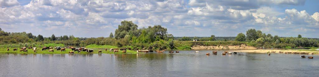 Оболоння з panoramio.com - Оболонье