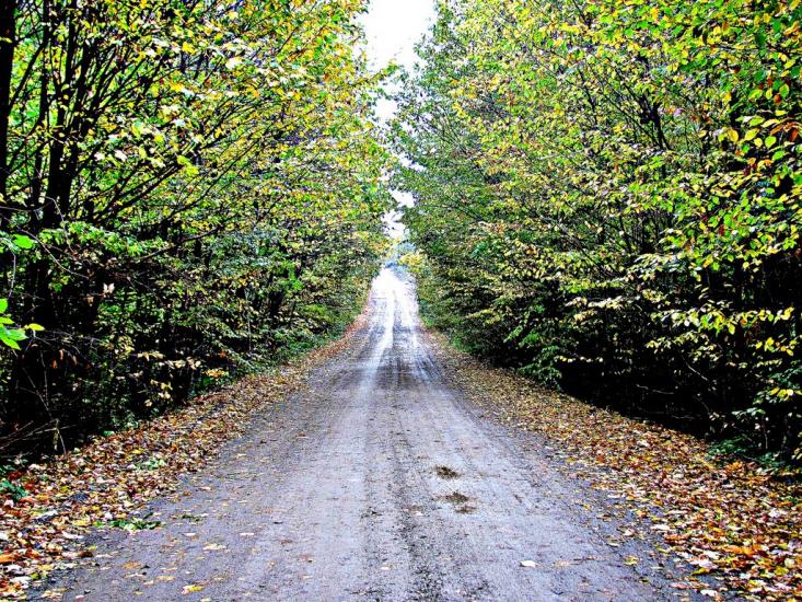 Середній Майдан з panoramio.com - Seredniy Maydan