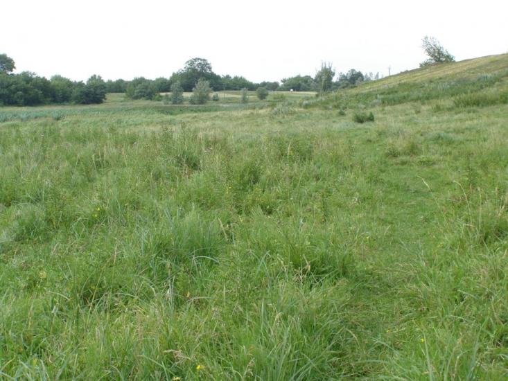 Пінчуки з panoramio.com - Пинчуки