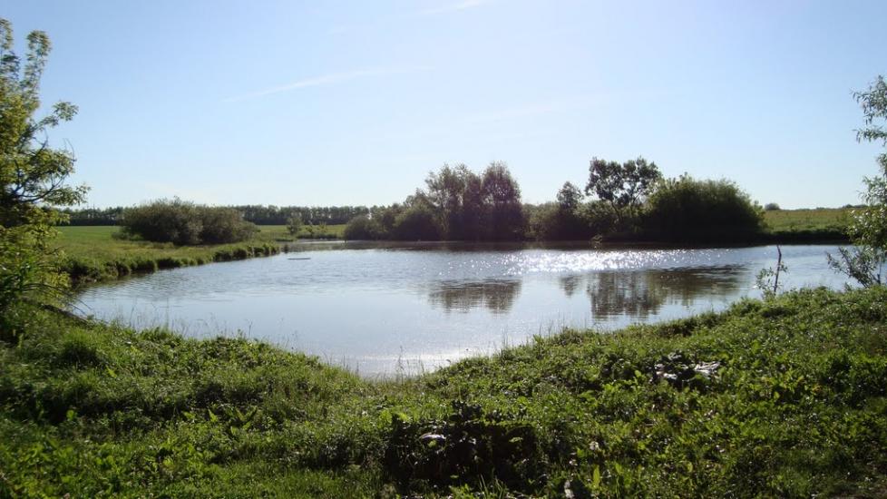 Раціборівка з panoramio.com - Рациборовка