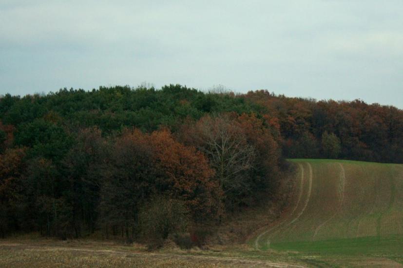 Острожець з panoramio.com - Острожец