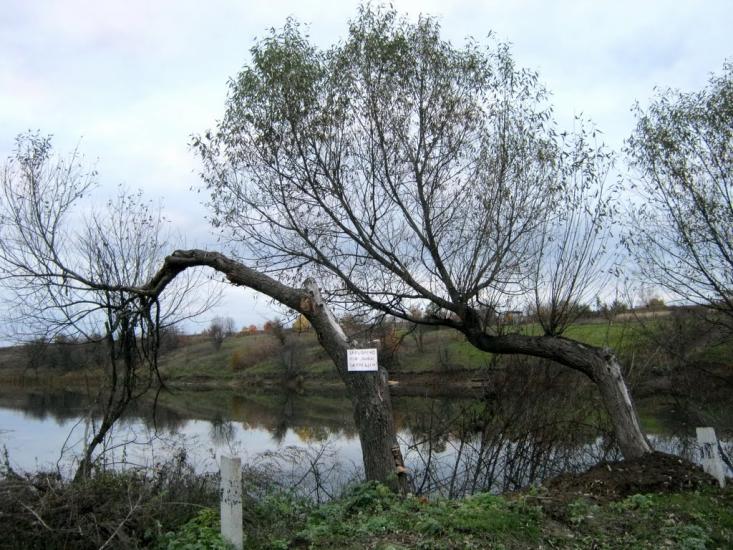 Гриценкове з panoramio.com - Гриценково