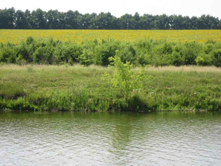 Рогізна з panoramio.com - Рогізна