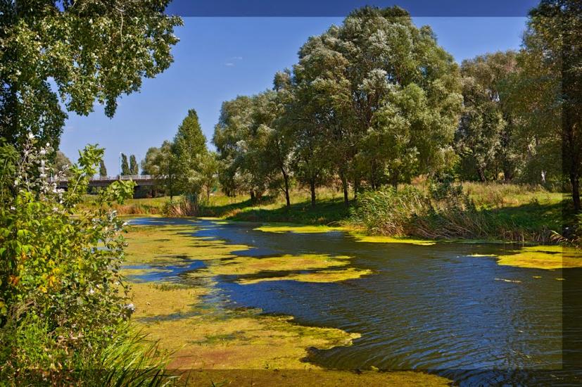 Вовчанськ з panoramio.com - Волчанск
