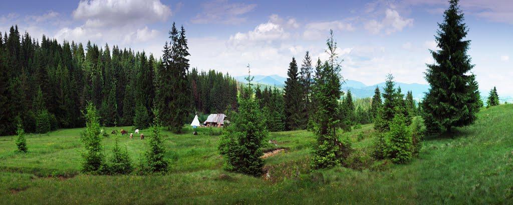 Потік з panoramio.com - Поток