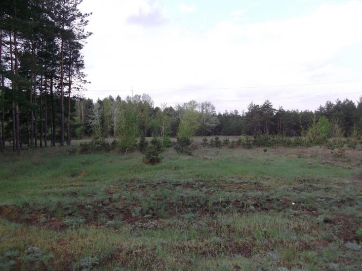 Мала Перещепина з panoramio.com - Малая Перещепина