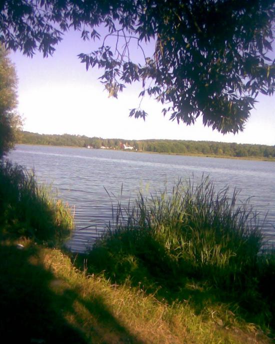 Вишевичі з panoramio.com - Вышевичи