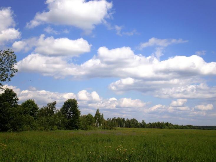 Веснянка з panoramio.com - Веснянка