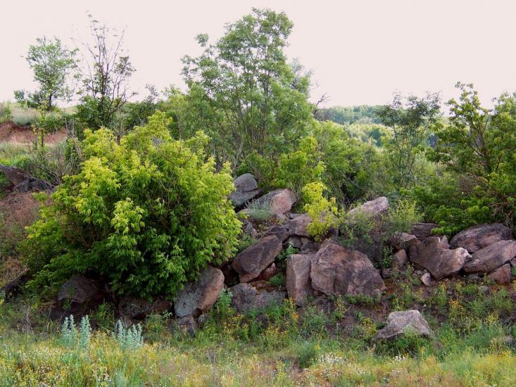 Валове з panoramio.com - Софіївка